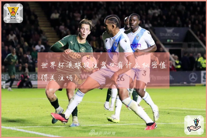 世界杯滚球投注盘口有什么秘密值得关注吗