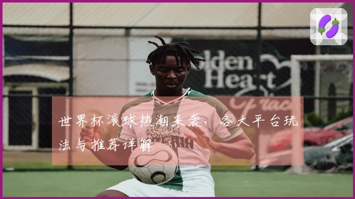 世界杯滚球热潮来袭，各大平台玩法与推荐详解