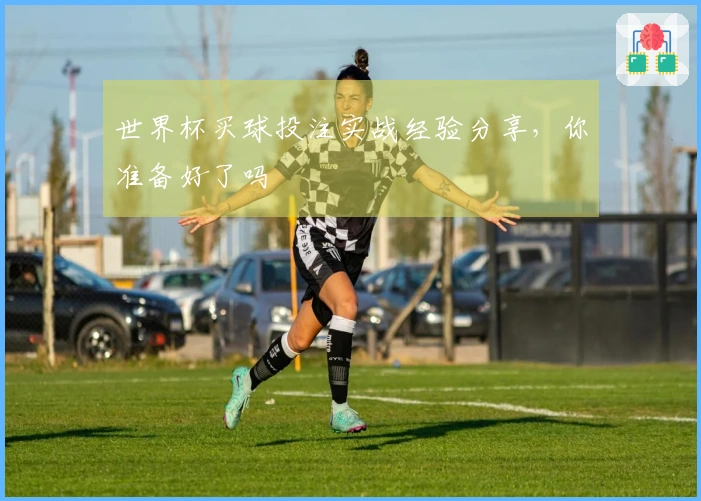 世界杯买球投注实战经验分享，你准备好了吗