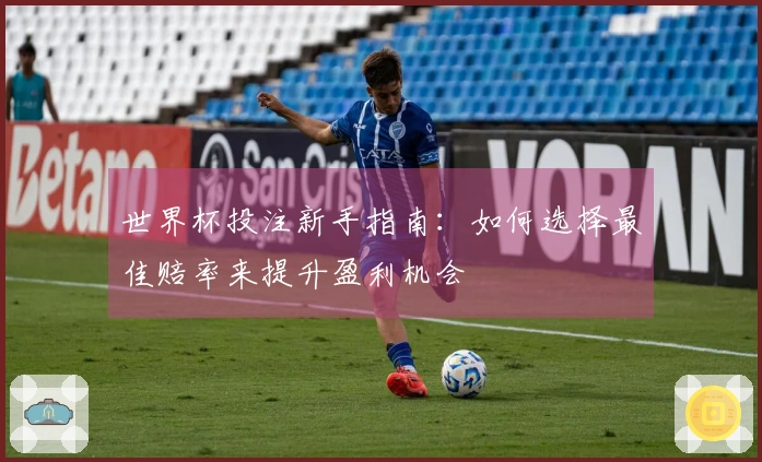 世界杯投注新手指南：如何选择最佳赔率来提升盈利机会