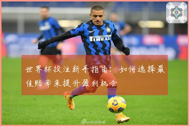 世界杯投注新手指南：如何选择最佳赔率来提升盈利机会