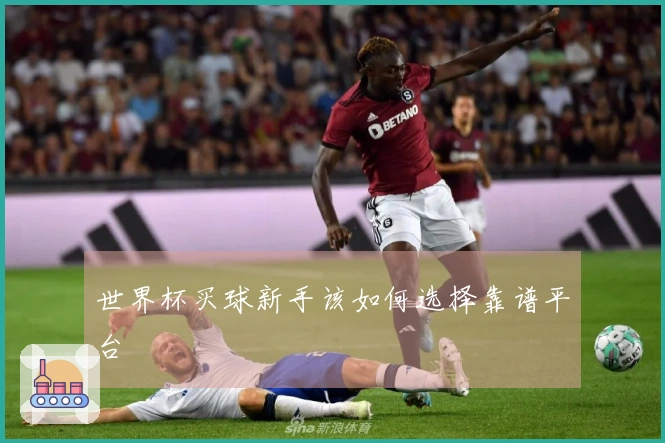 世界杯买球新手该如何选择靠谱平台