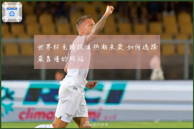 世界杯竞猜投注热潮来袭 如何选择最靠谱的网站