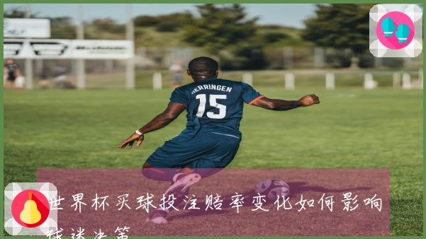 世界杯买球投注赔率变化如何影响球迷决策