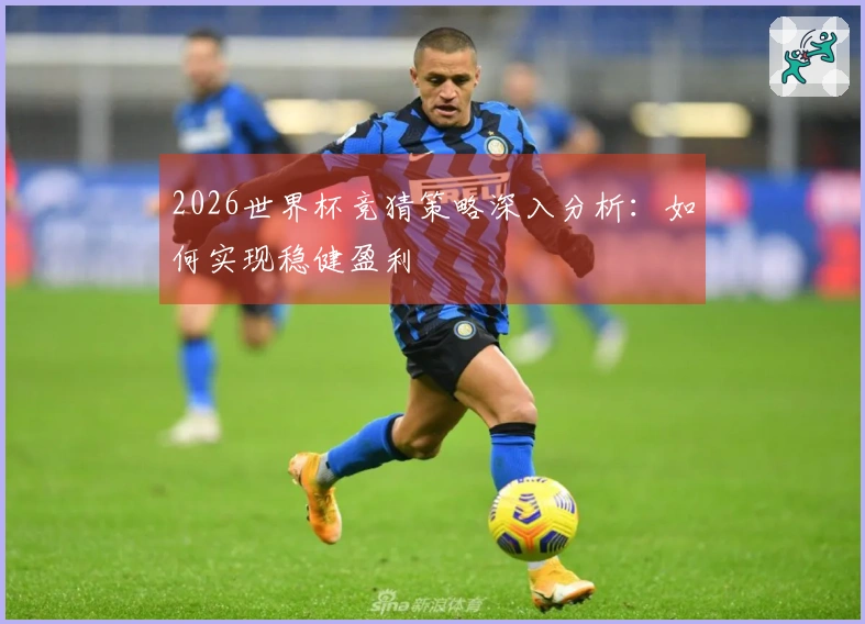 2026世界杯竞猜策略深入分析：如何实现稳健盈利